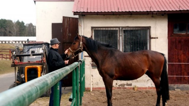 Drzonków