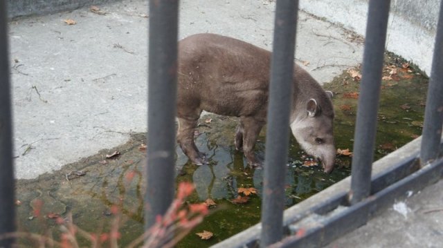 Wycieczka do Wrocławia