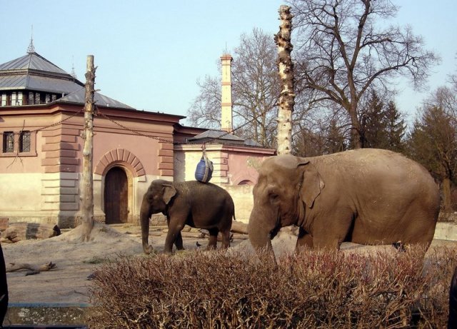 Wycieczka do Wrocławia